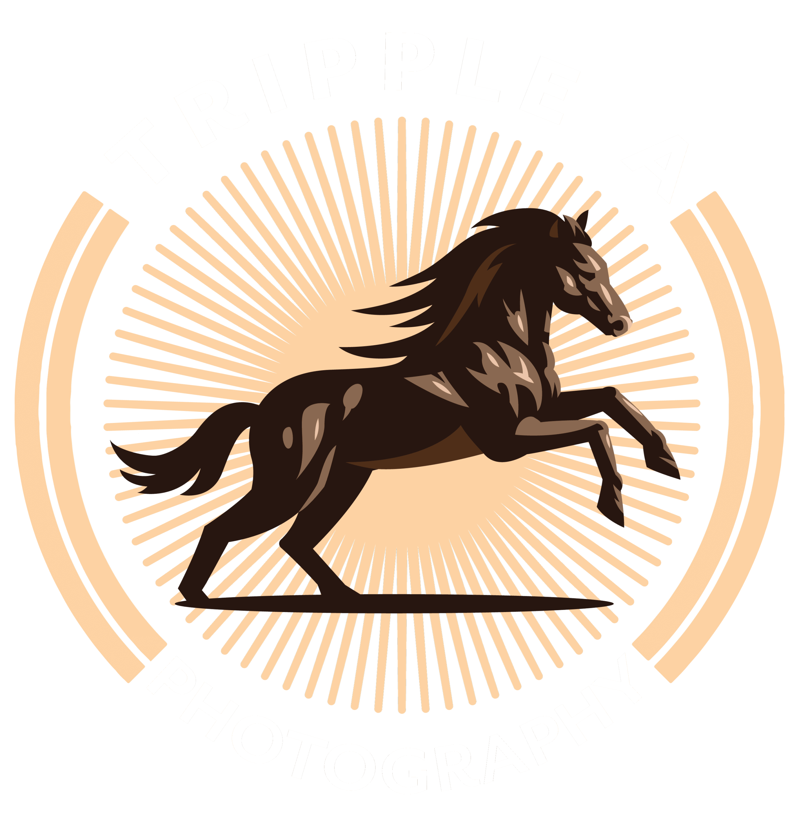 Selfie Mirror and Photo Booth Rental in New Brunswick | Tripple A Photography